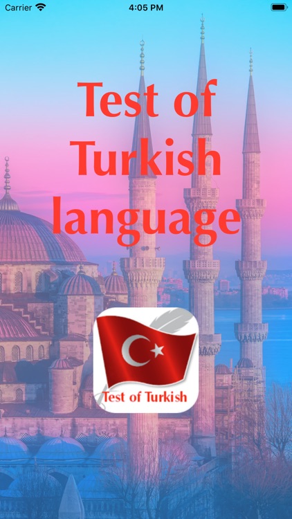 Test of Turkish language