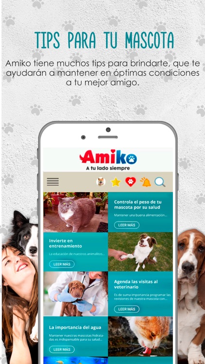 Amiko screenshot-4