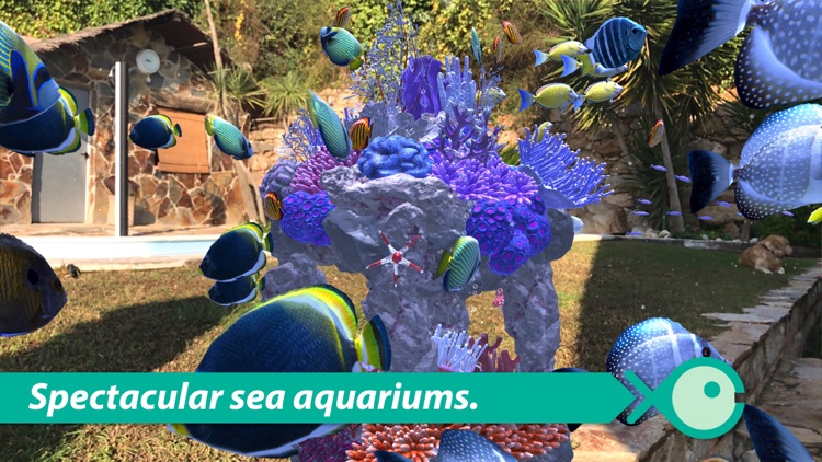 FishingGO AR screenshot-4