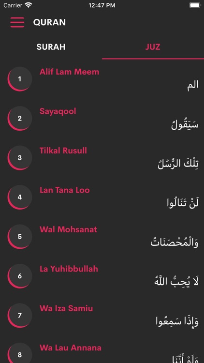 Al Quran in Urdu