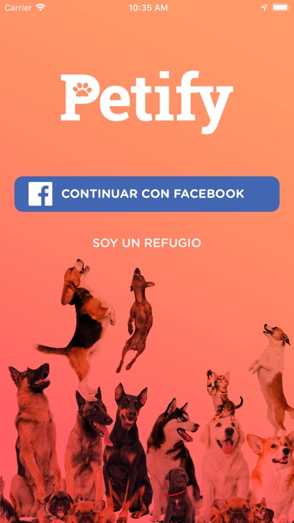 Petify. Love for Pets