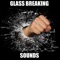 Glass breaking Sounds and Glass breaking Sounds and Effects provides you glass breaking sounds and glass breaking sound effects at your fingertips