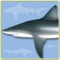 Identify sharks and rays caught in fishing, observed or photographed in dives