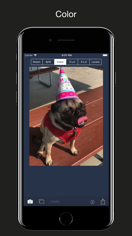 NotanIzer screenshot-4