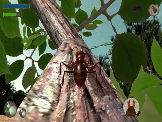 Скачать игру Ant Simulation 3D Full