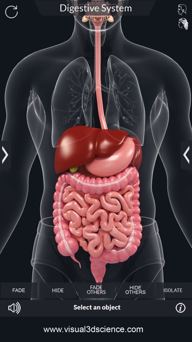 How to cancel & delete My Digestive System Anatomy from iphone & ipad 3