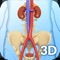 Urinary System app for studying human Urinary System anatomy which allows you to rotate 360° , Zoom and move camera around a highly realistic 3D model