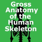 Top 35 Medical Apps Like Human Skeleton: Gross Anatomy - Best Alternatives