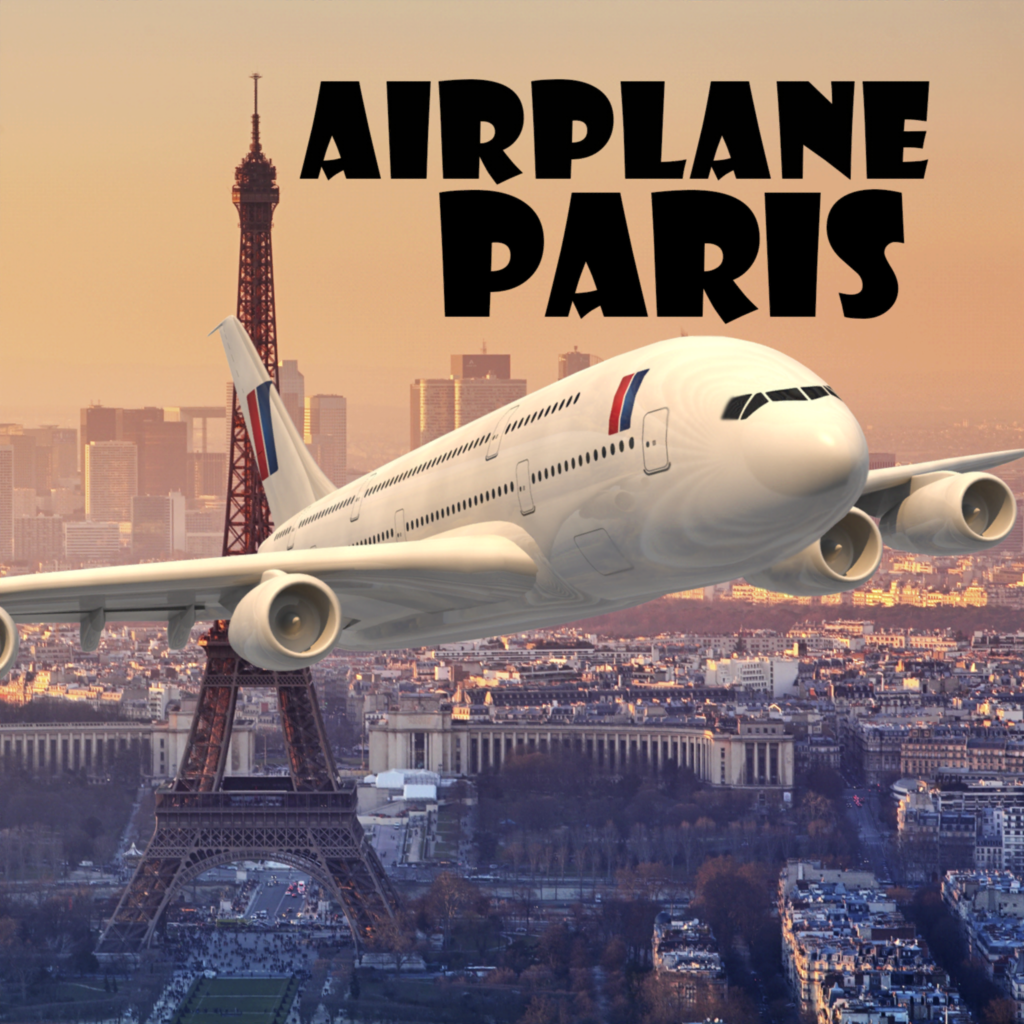 Get Airplane Paris for iOS, iPhone, iPad Aso Report