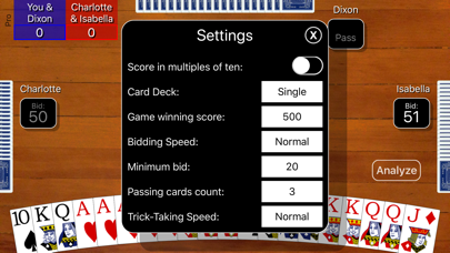 Pinochle Classic screenshot 2