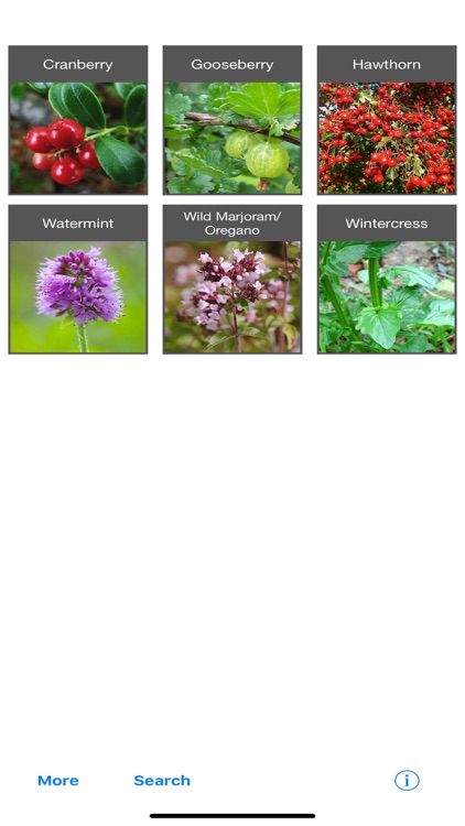 Forage - Wild Free Food screenshot-5