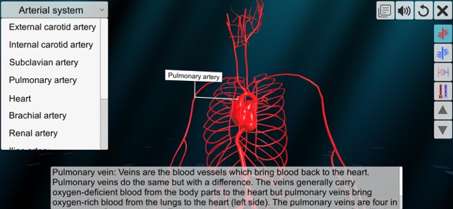 Vascular system(圖3)-速報App