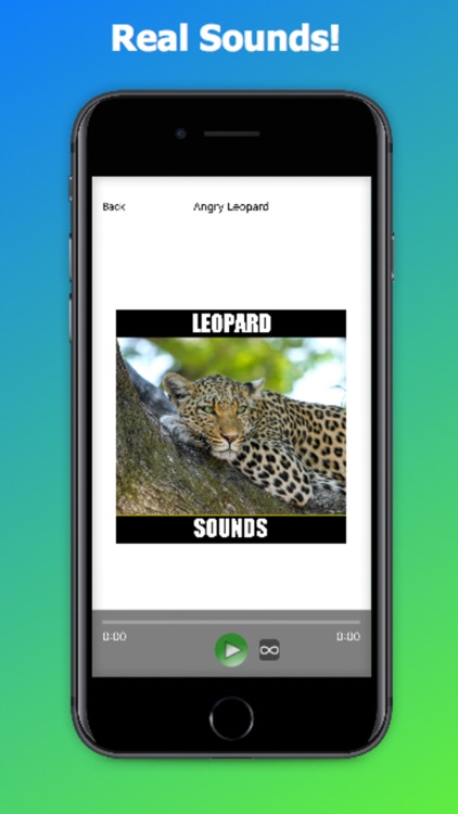 Leopard Sounds