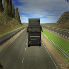 Activities of Truck Driver Games