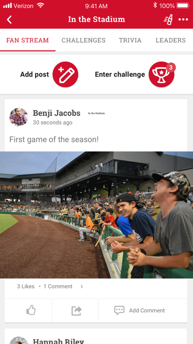 RedHawks Baseball screenshot 3