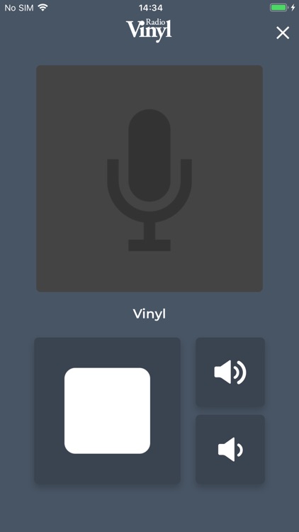 Radio Vinyl screenshot-3