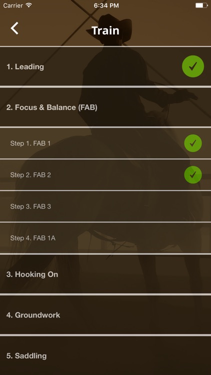 WS Horse Training Checklist screenshot-3