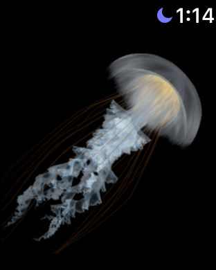 Screenshot #10 for Jellyfish Heaven - Relax Time