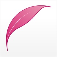 红茶制程 pour PC