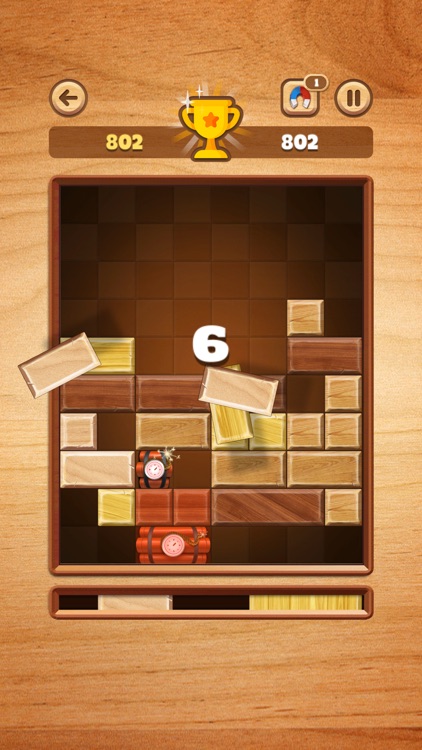 Wood Sliding - Block Puzzle