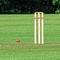 This is a simple scorekeeping app intended for cricket games at a recreational level