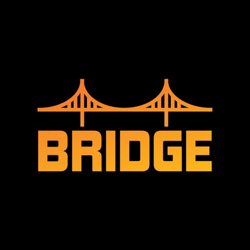 Bridge Classic Icon