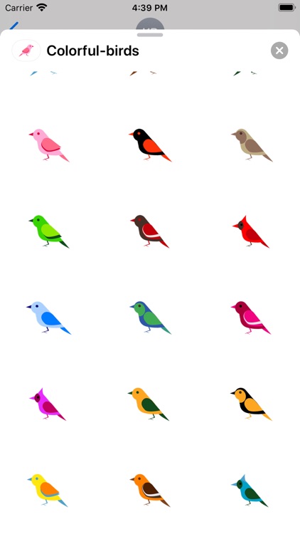 Colorful birds