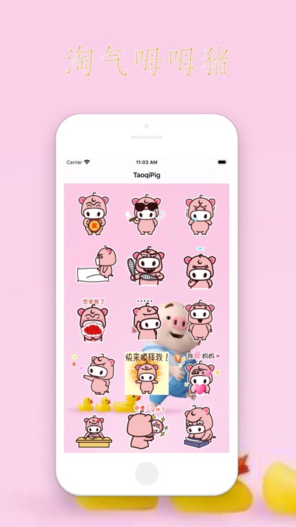 TaoqiPig