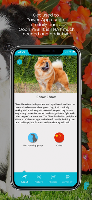 Pawer – All-In-One Dog App(圖8)-速報App