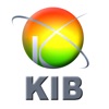 KIB Credit Cards Services credit lending services 