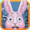 The white bunny is on the journey of the snow in the jungle, but their are wild beasts and other animals, which are trying to stop the bunny from reaching its destination, can you save the bunny and survive on of the best journey of the jungle, Download now and help the bunny escape