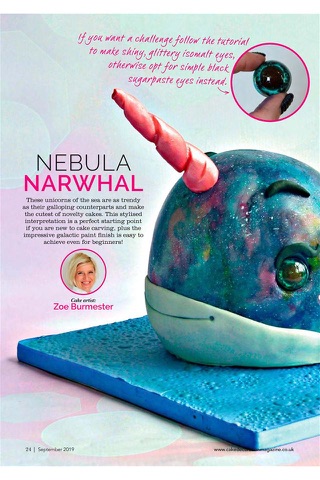 Cake Decoration & Sugarcraft - náhled