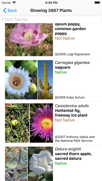 How to cancel & delete South California Wildflowers from iphone & ipad 2