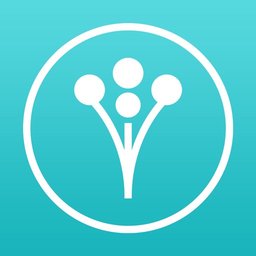 Wedding Planner by WeddingWire