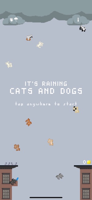 It's Raining Cats and Dogs(圖1)-速報App