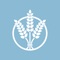 Know, grow and live your faith in Christ through this realtime tool
