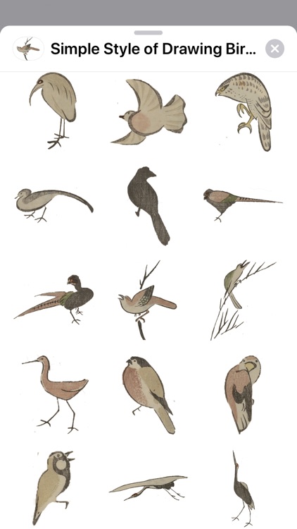 Birds and Animals Stickers screenshot-3