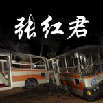 孙美琪疑案张红君