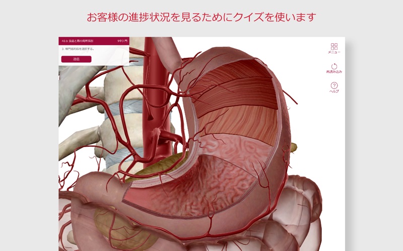 解剖学的構造と生理学 screenshot1