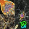 "3D Biology +" provides information, visualization of 3D Biology models