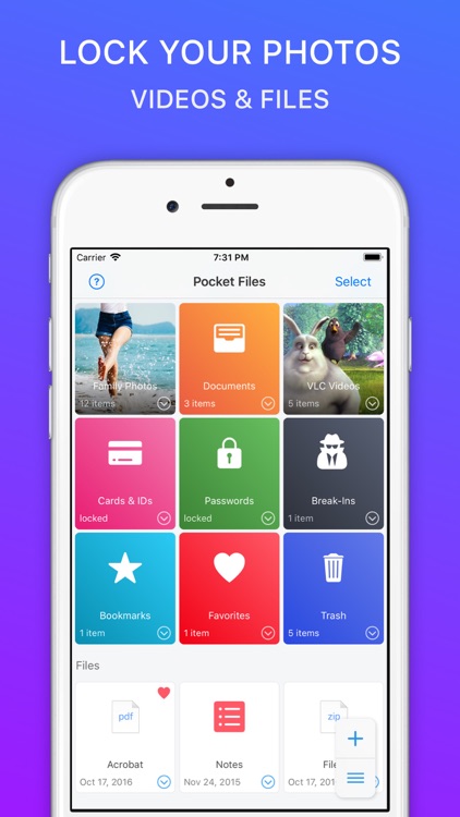 Photo Video Vault: PocketFiles