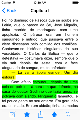 O Crime do Padre Amaro - náhled