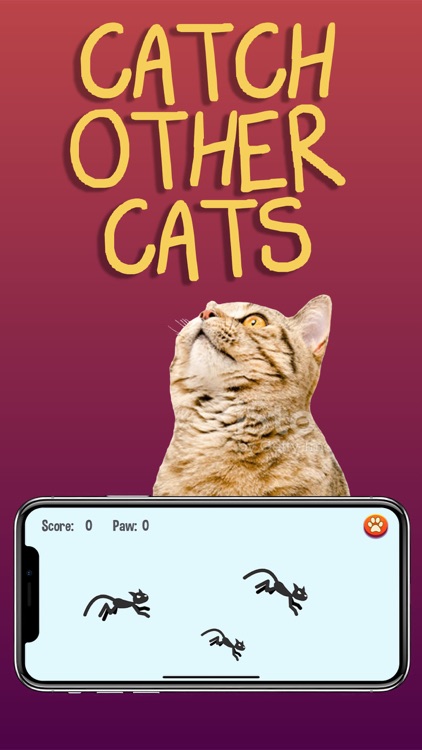 Cat Games screenshot-5