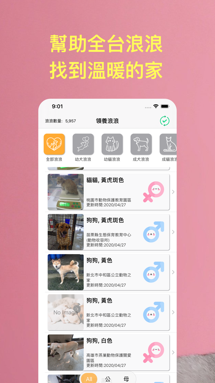 領養浪浪：即時全台流浪毛小孩