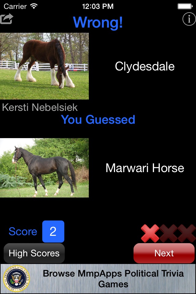 3Strike Horses screenshot 4