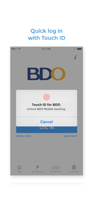 Security Management Bdo Unibank Inc