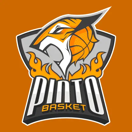 Pintobasket ECB Читы