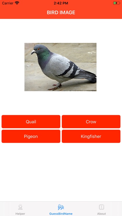 GuessBirdName screenshot-3