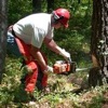 Chainsaw Sounds & Lumberjack!