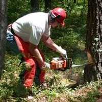 Chainsaw Sounds & Lumberjack! pour PC